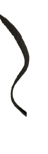 Paese Eyegasm Eyeliner skystas akių vokų pravedimas